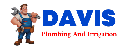 Trusted plumber in HAMLER